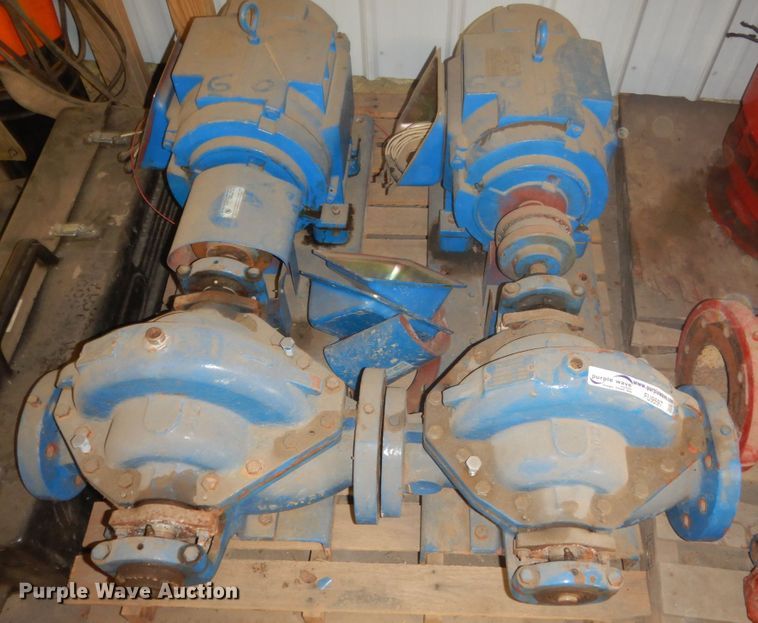 image for item FU9597 (3) pumps