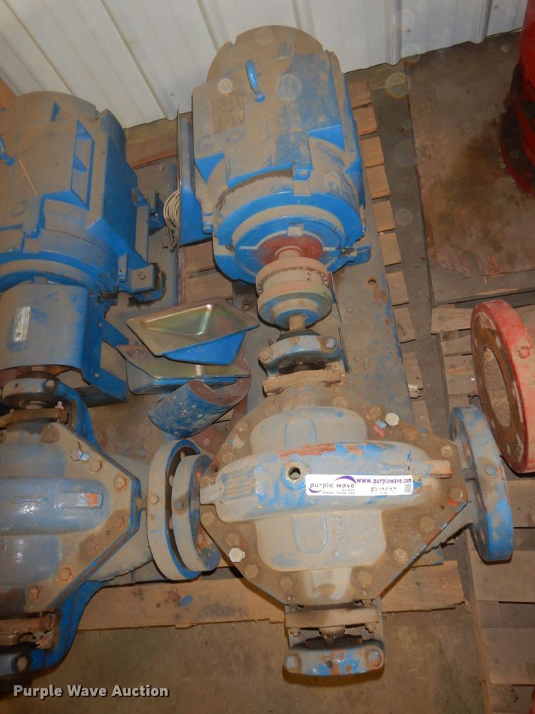 image for item FU9597 (3) pumps