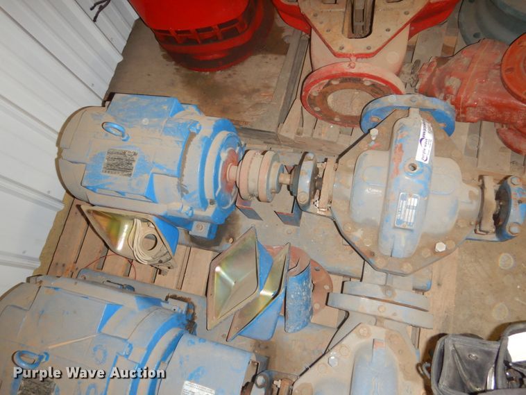 image for item FU9597 (3) pumps