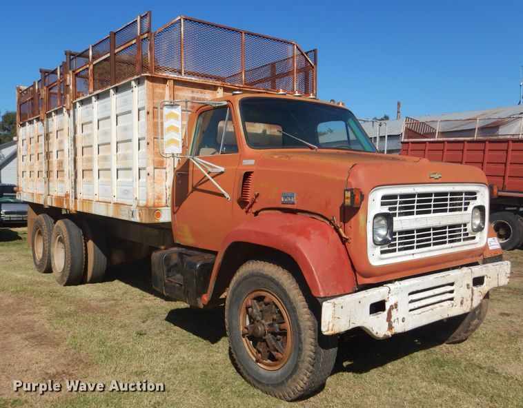 image for item DD4502 1978 Chevrolet 700 silage truck