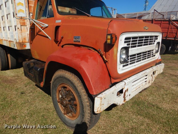 image for item DD4502 1978 Chevrolet 700 silage truck