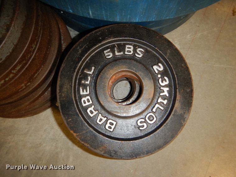 image for item DY9342 (52) weight plates