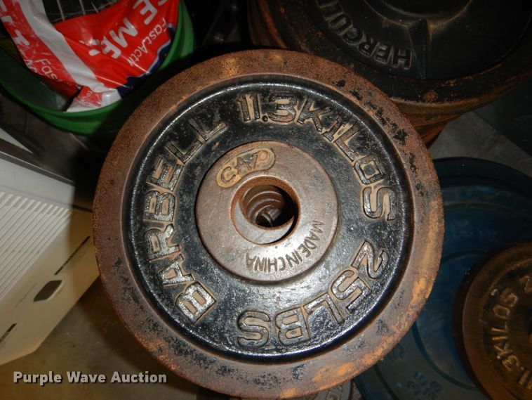 image for item DY9342 (52) weight plates
