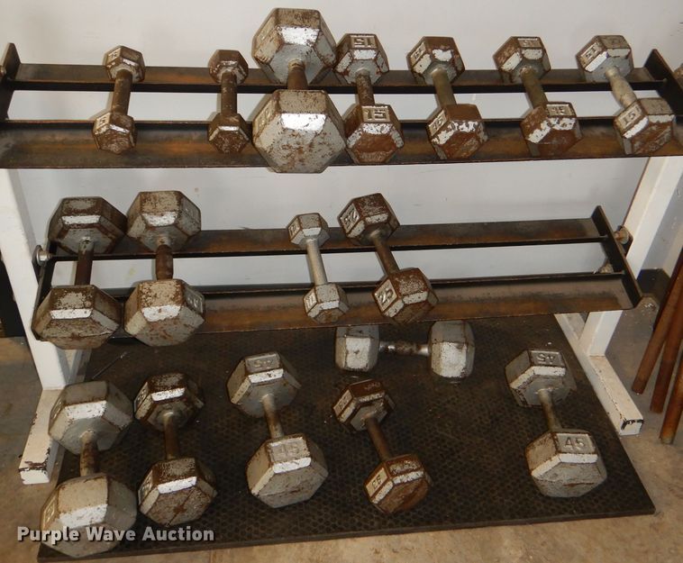 image for item DY9346 (17) dumbbells and rack
