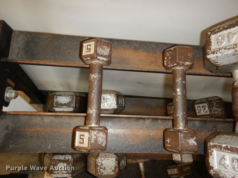 image for item DY9346 (17) dumbbells and rack