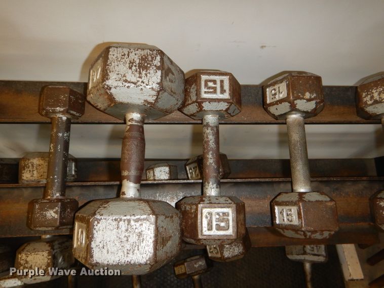 image for item DY9346 (17) dumbbells and rack