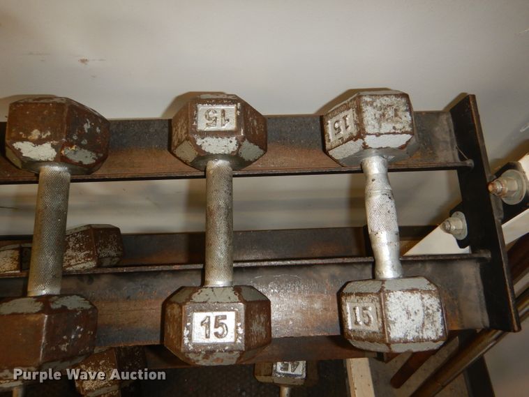 image for item DY9346 (17) dumbbells and rack
