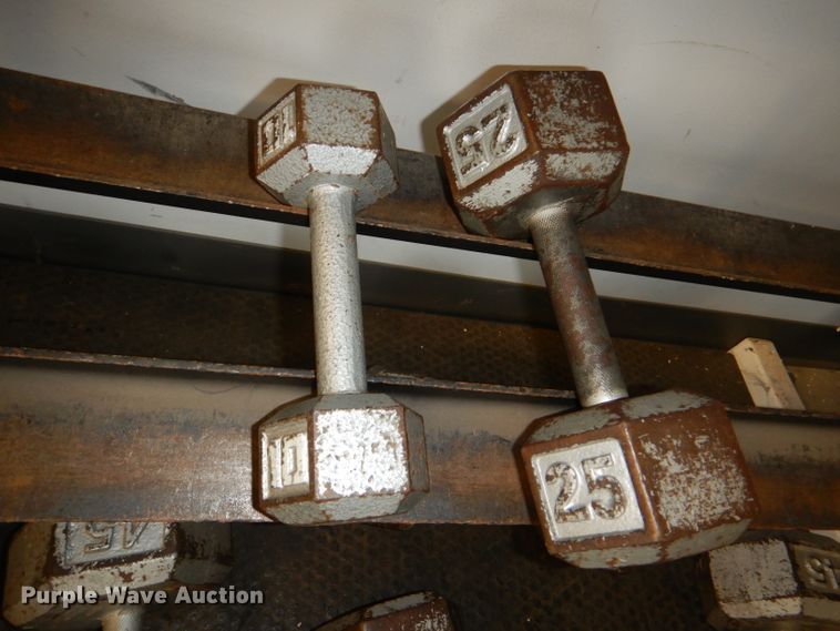 image for item DY9346 (17) dumbbells and rack