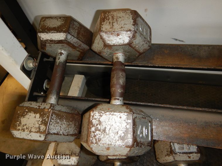 image for item DY9346 (17) dumbbells and rack