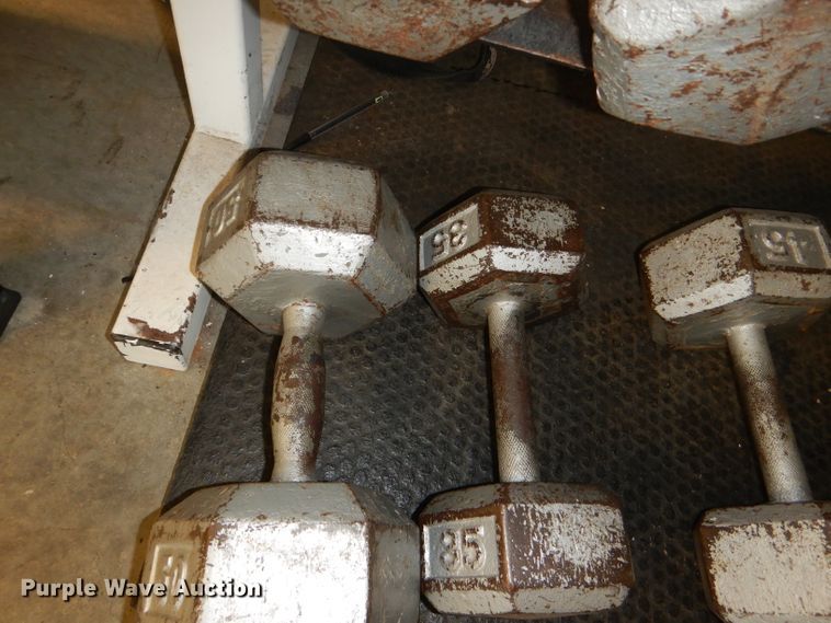 image for item DY9346 (17) dumbbells and rack