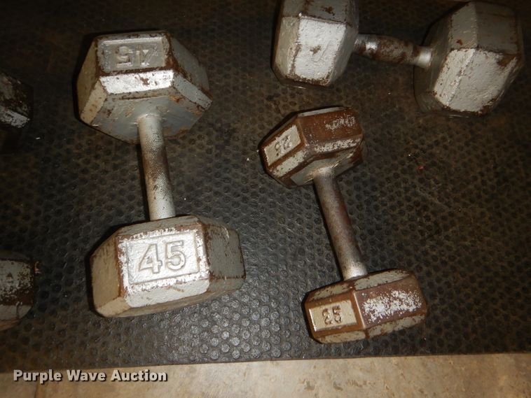 image for item DY9346 (17) dumbbells and rack