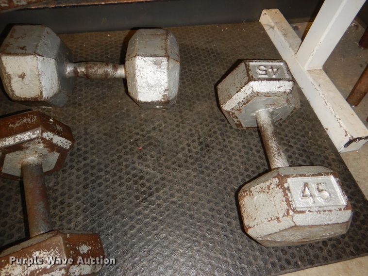 image for item DY9346 (17) dumbbells and rack
