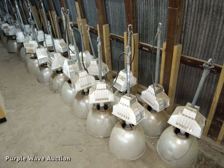 image for item GE9546 Approximately 26 Ruud lights