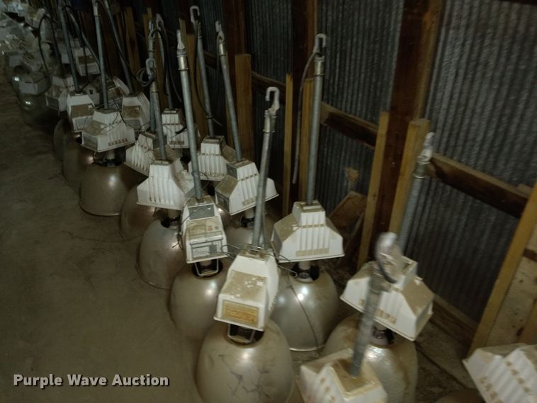 image for item GE9546 Approximately 26 Ruud lights