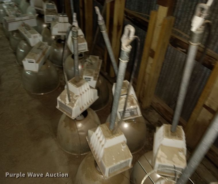 image for item GE9546 Approximately 26 Ruud lights