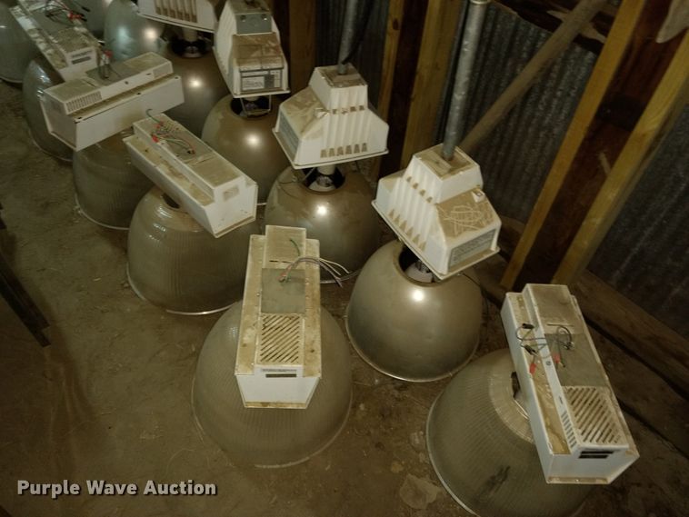 image for item GE9546 Approximately 26 Ruud lights