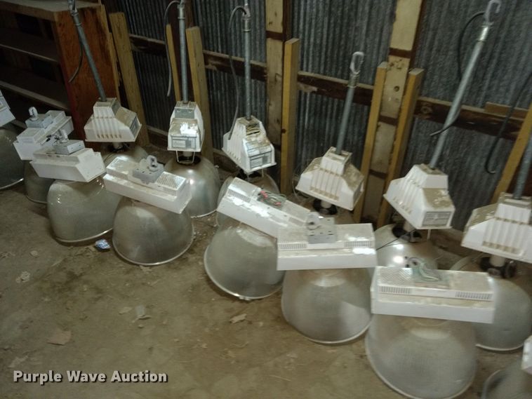 image for item GE9546 Approximately 26 Ruud lights