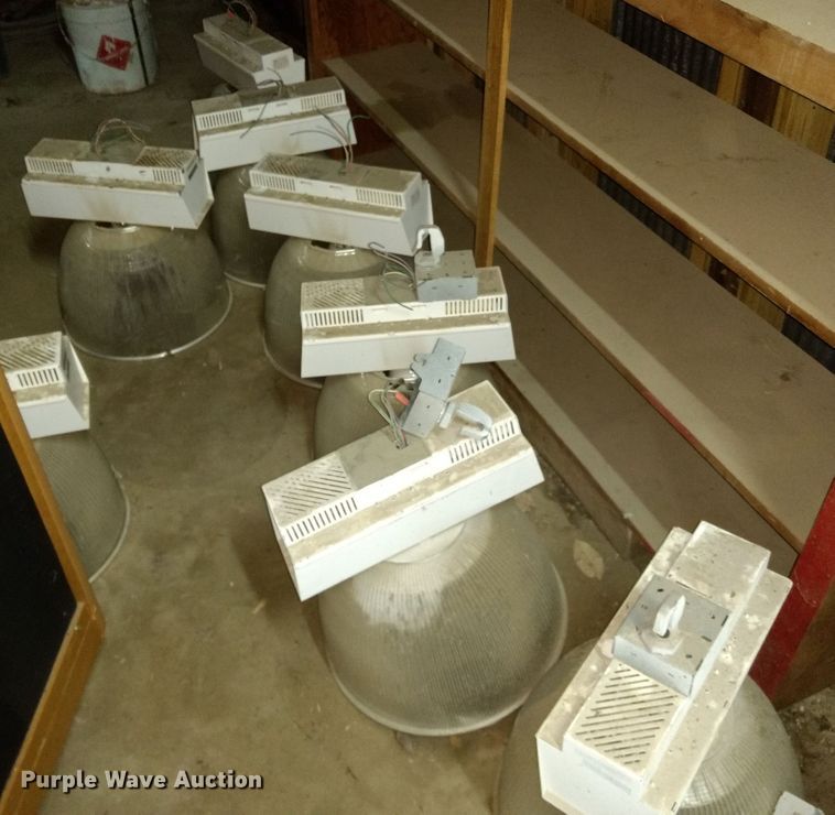 image for item GE9546 Approximately 26 Ruud lights