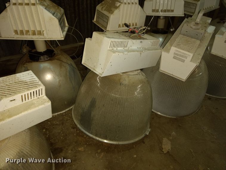 image for item GE9546 Approximately 26 Ruud lights