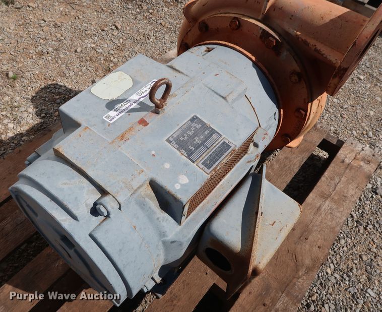 image for item GD9835 Berkeley B4JPBHS pump