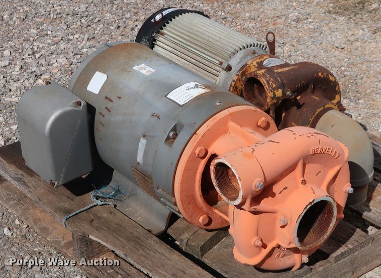 image for item GD9836 (2) Berkeley B3TPM pumps