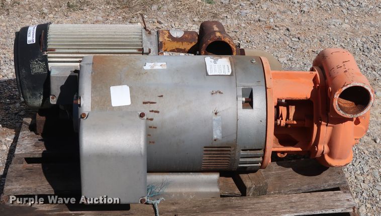 image for item GD9836 (2) Berkeley B3TPM pumps