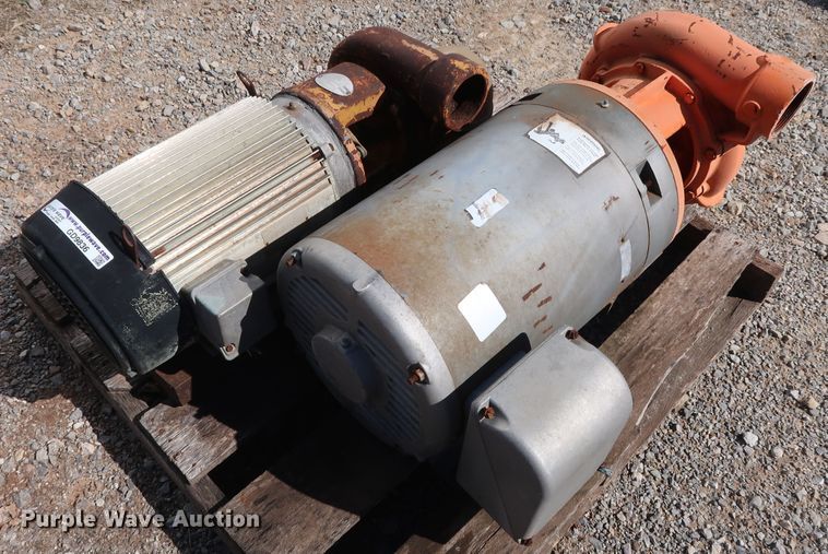 image for item GD9836 (2) Berkeley B3TPM pumps