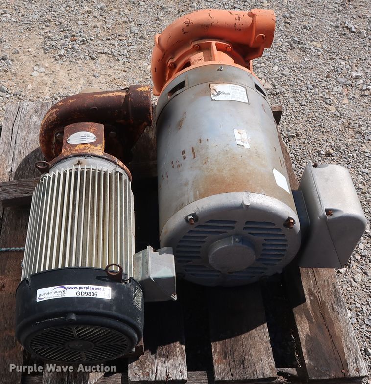 image for item GD9836 (2) Berkeley B3TPM pumps