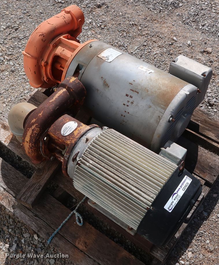 image for item GD9836 (2) Berkeley B3TPM pumps