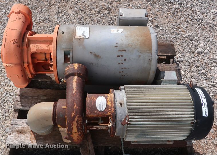 image for item GD9836 (2) Berkeley B3TPM pumps