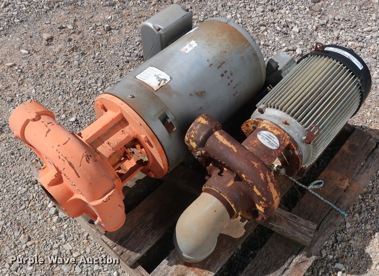 image for item GD9836 (2) Berkeley B3TPM pumps