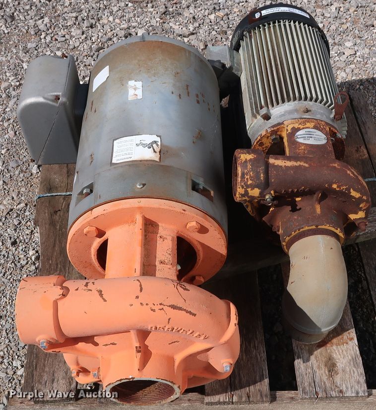 image for item GD9836 (2) Berkeley B3TPM pumps