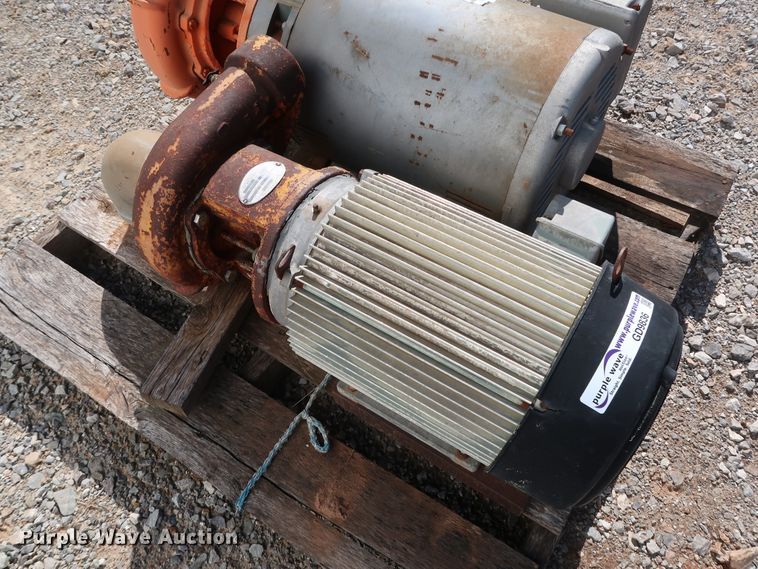 image for item GD9836 (2) Berkeley B3TPM pumps