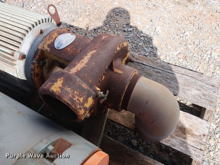 image for item GD9836 (2) Berkeley B3TPM pumps