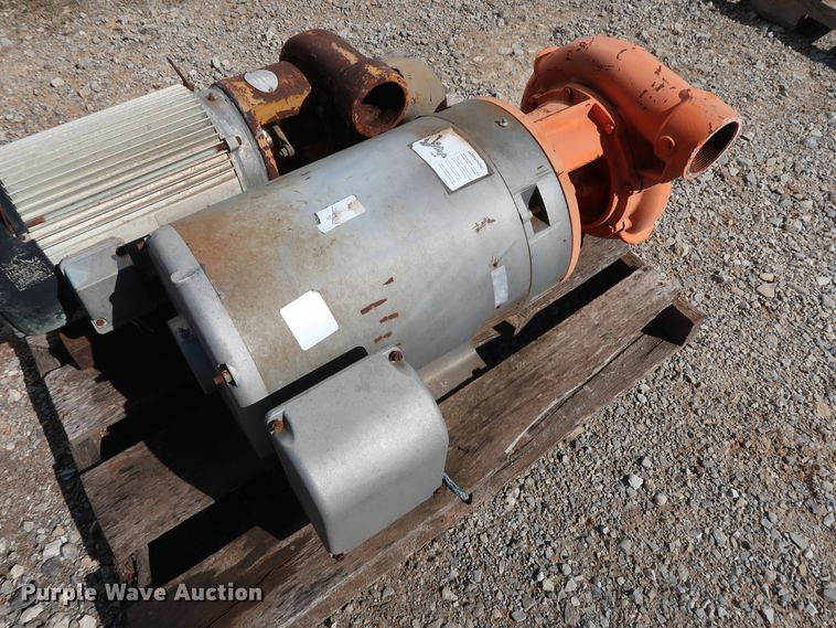 image for item GD9836 (2) Berkeley B3TPM pumps