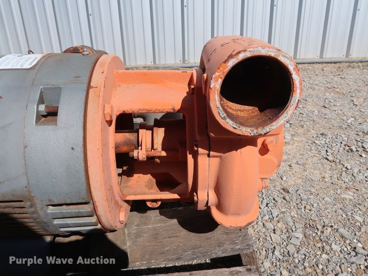 image for item GD9836 (2) Berkeley B3TPM pumps