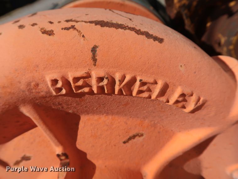 image for item GD9836 (2) Berkeley B3TPM pumps