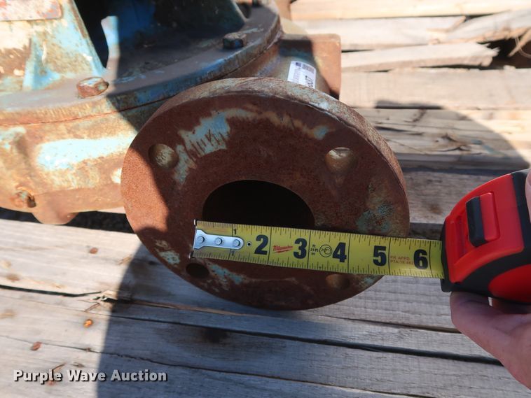 image for item GD9837 (2) Aurora 344A-BF pumps