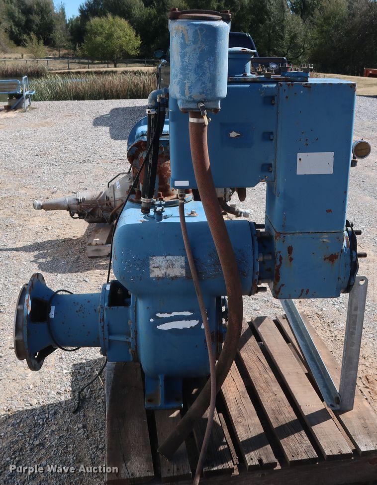 image for item GD9839 Thompson 6" pump