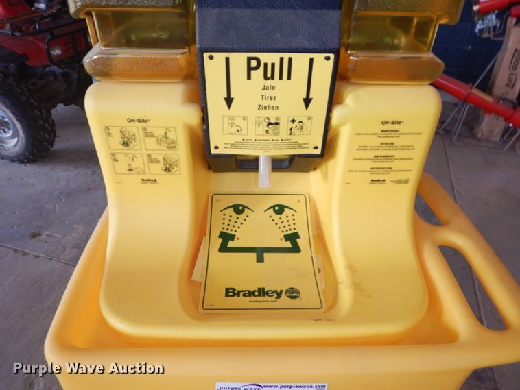 image for item DI9169 Bradley eye wash station