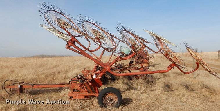 image for item DE1331 Euro Rake hay rake