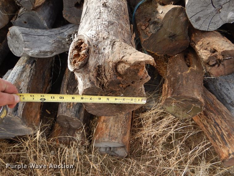 image for item DE1333 Approx. 60 hedge posts