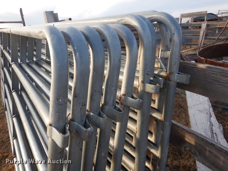 image for item FG9951 (10) galvanized livestock panels