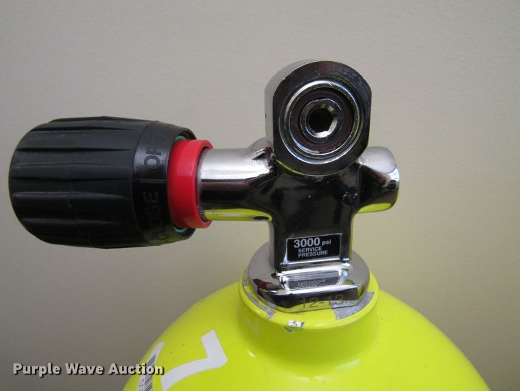 image for item FD9360 (4) Worthington 100 aluminum tanks