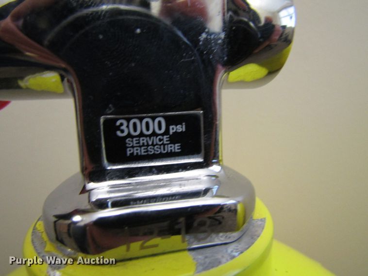 image for item FD9360 (4) Worthington 100 aluminum tanks