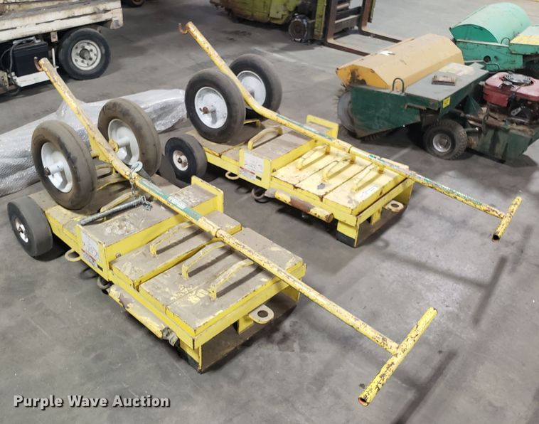 image for item GA9495 (2) Cobra Lifelink weight systems