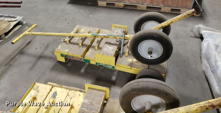 image for item GA9495 (2) Cobra Lifelink weight systems