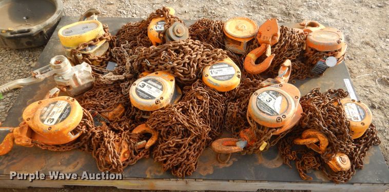image for item GG9678 (10) Harrington chain hoists