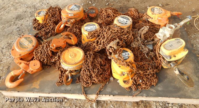 image for item GG9678 (10) Harrington chain hoists