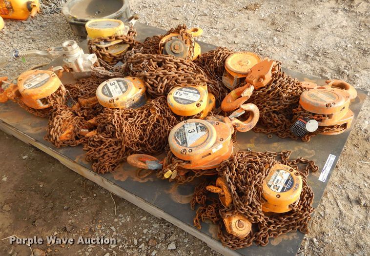 image for item GG9678 (10) Harrington chain hoists